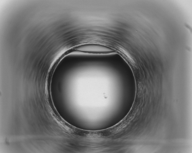 X0000095900788200801251223