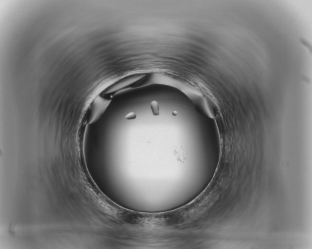 X0000095900789200801251223