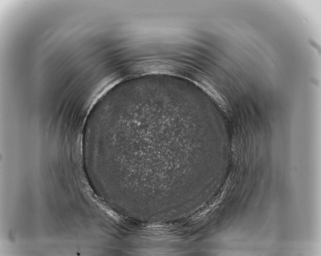 X0000095900790200801251223