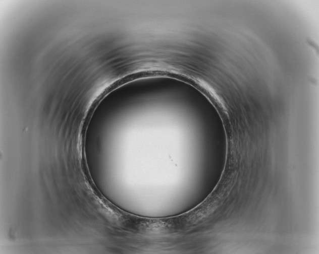 X0000095900791200801251223