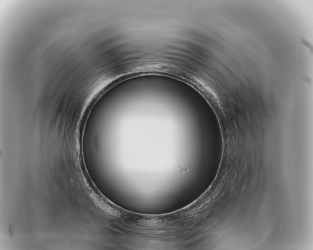 X0000095900792200801251223