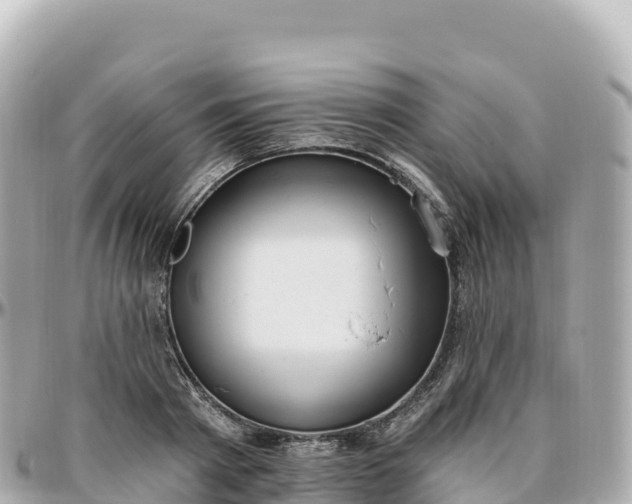 X0000095900793200801251223