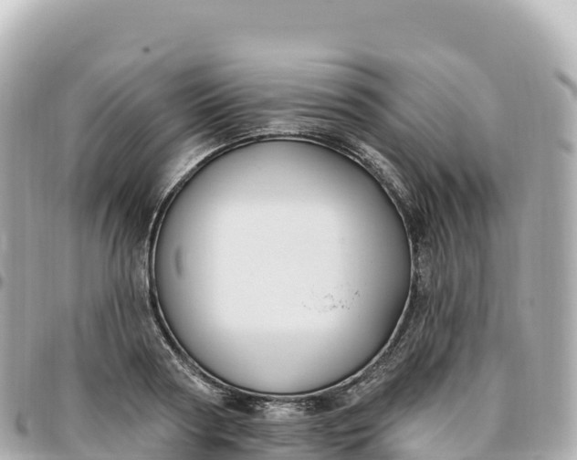 X0000095900794200801251223