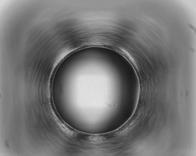 X0000095900795200801251223