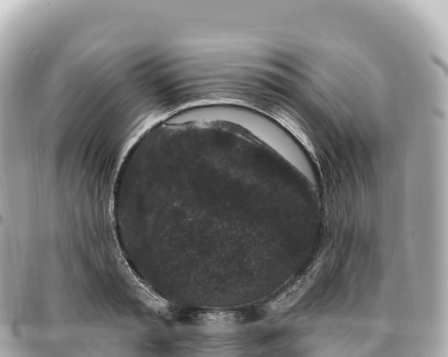 X0000095900797200801251223