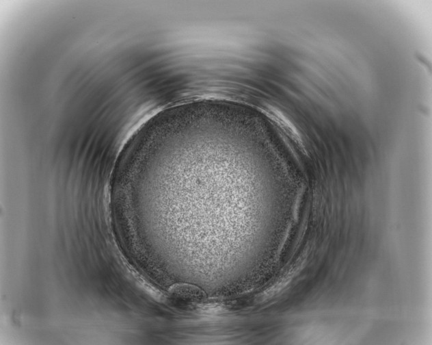 X0000095900798200801251223