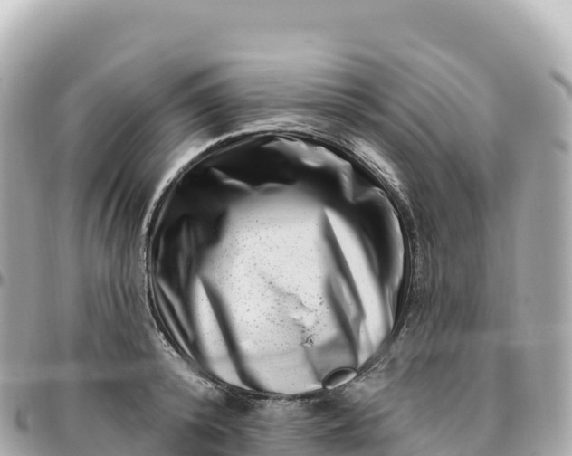 X0000095900800200801251223