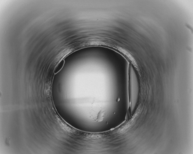 X0000095900801200801251223