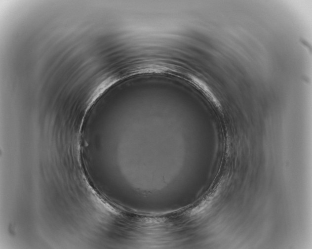 X0000095900802200801251223