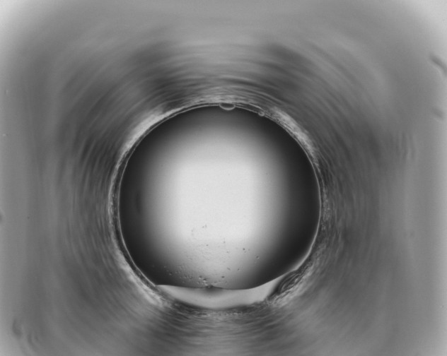 X0000095900803200801251223