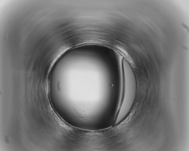 X0000095900804200801251223