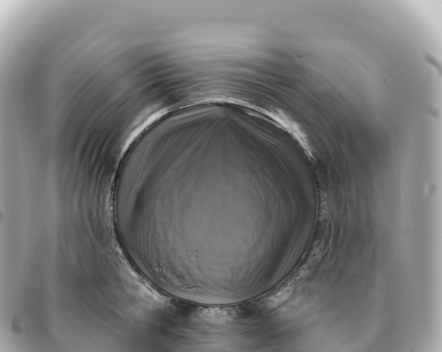 X0000095900806200801251223