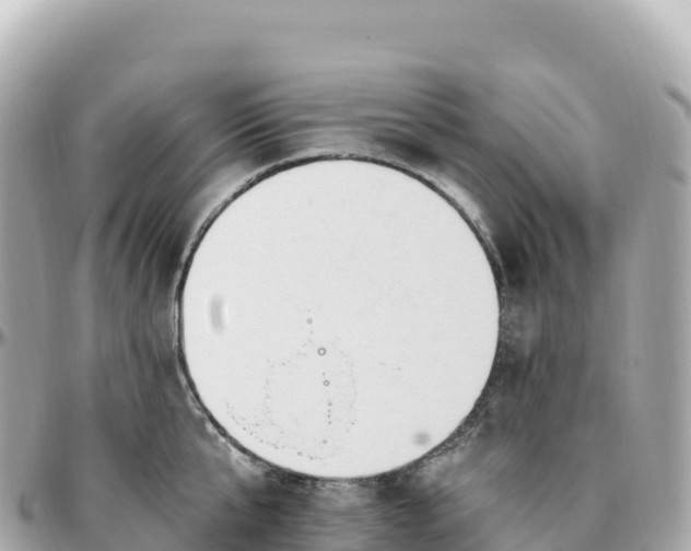 X0000095900807200801251223