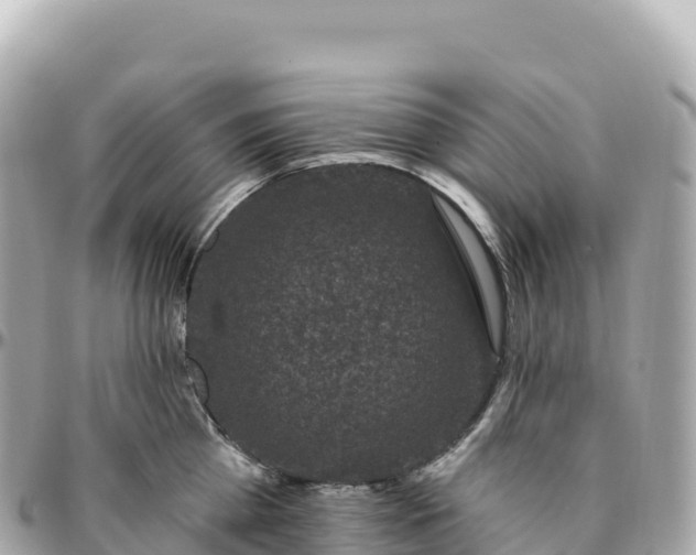 X0000095900809200801251223