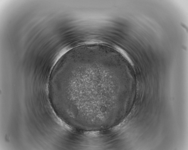 X0000095900810200801251223