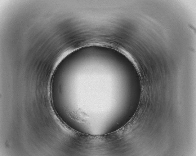 X0000095900811200801251223