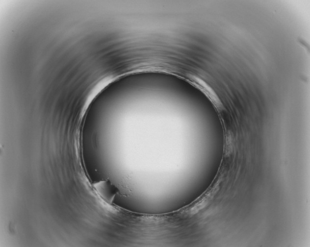 X0000095900812200801251223