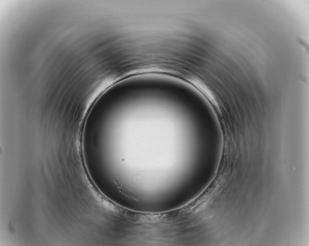 X0000095900813200801251223