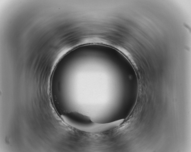 X0000095900815200801251223