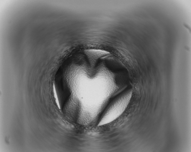 X0000095900817200801251222