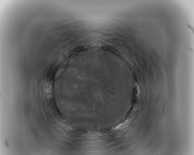 X0000095900818200801251222