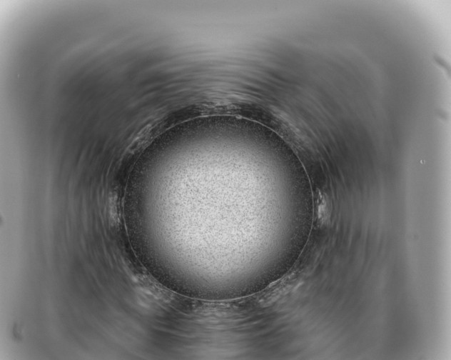 X0000095900819200801251222