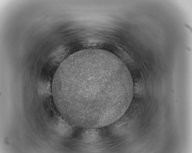 X0000095900820200801251222