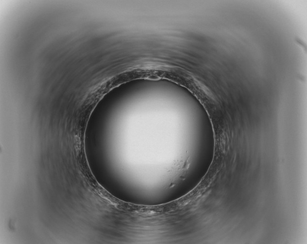 X0000095900821200801251222