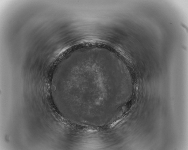 X0000095900822200801251222