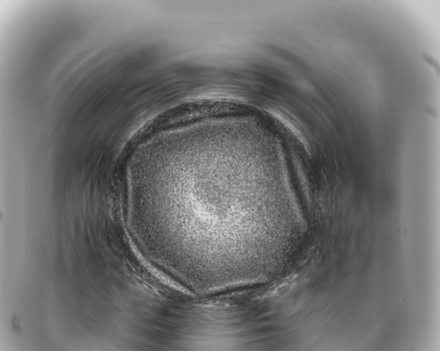 X0000095900823200801251222