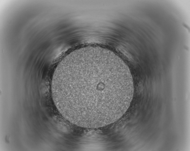 X0000095900824200801251222