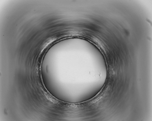 X0000095900827200801251222