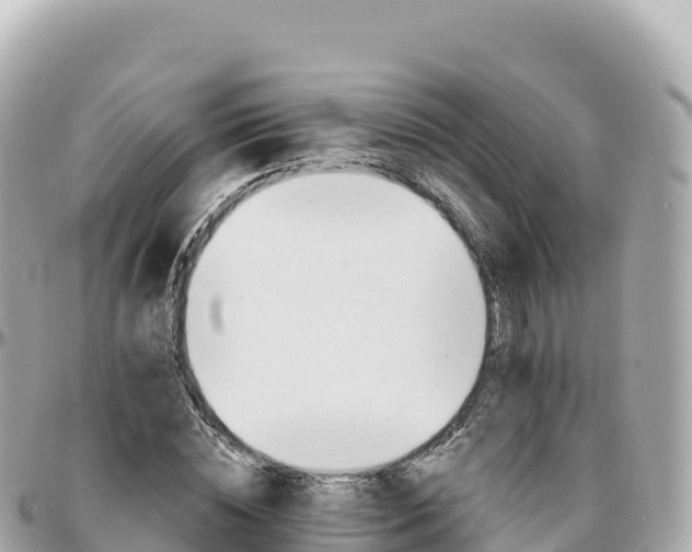 X0000095900828200801251222