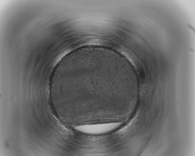 X0000095900829200801251222