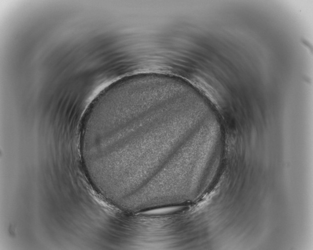 X0000095900830200801251222