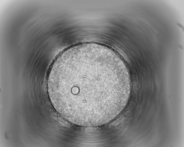 X0000095900832200801251222