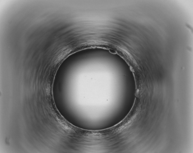 X0000095900833200801251222