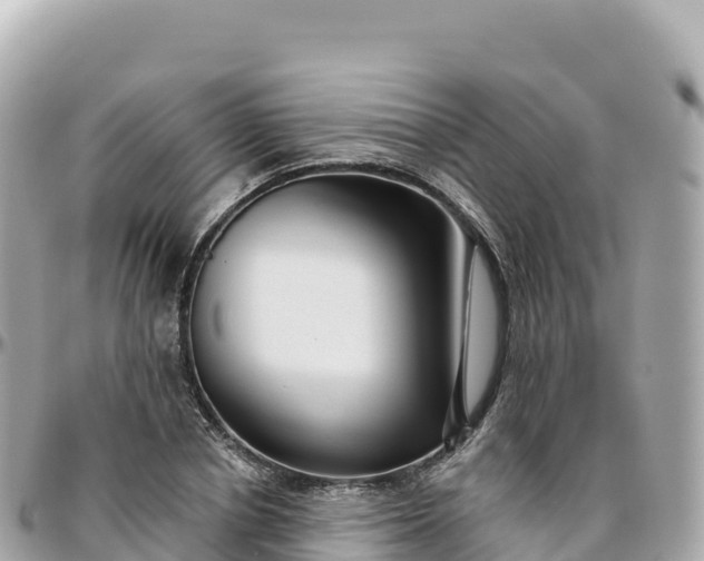 X0000095900834200801251222