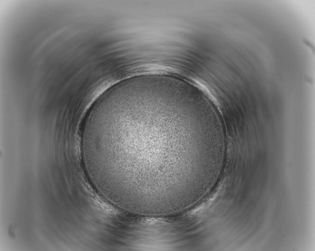 X0000095900835200801251222