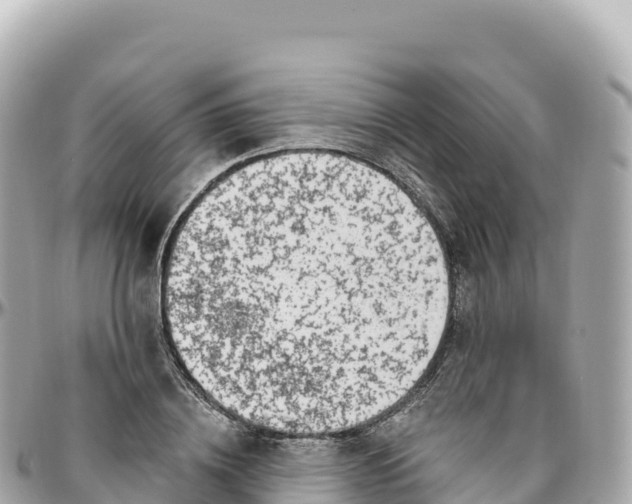 X0000095900836200801251222