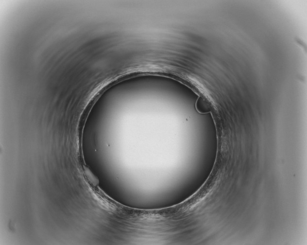 X0000095900837200801251222