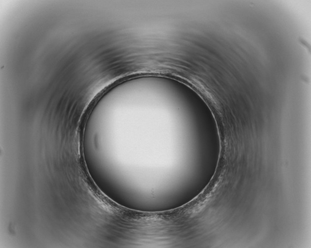 X0000095900838200801251222