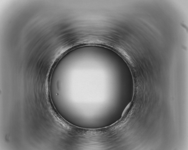 X0000095900840200801251222