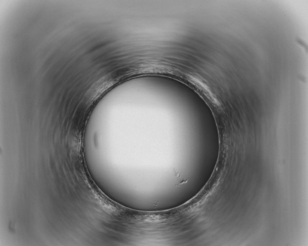 X0000095900841200801251222