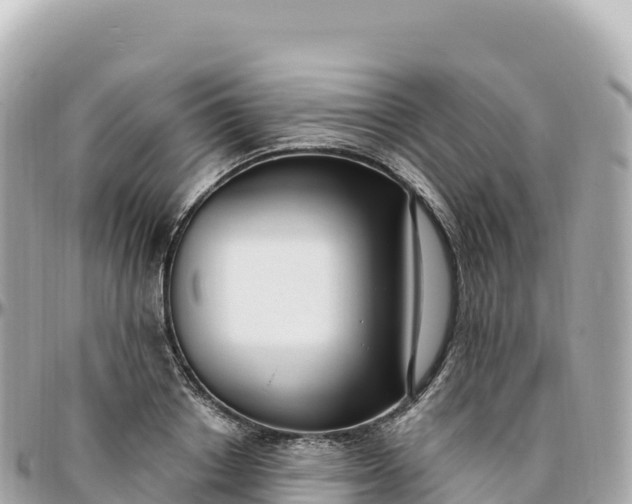 X0000095900842200801251222