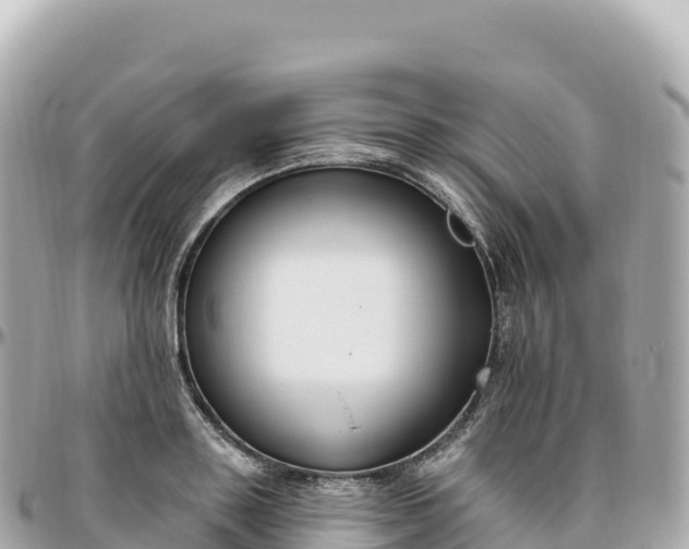 X0000095900843200801251222