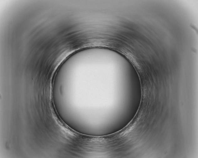 X0000095900844200801251222