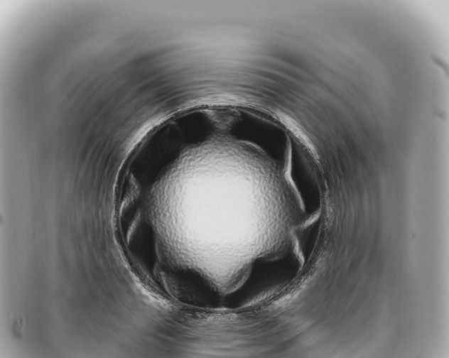 X0000095900845200801251222