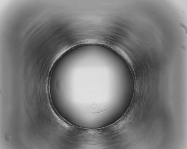 X0000095900847200801251222