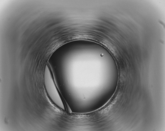 X0000095900849200801251222